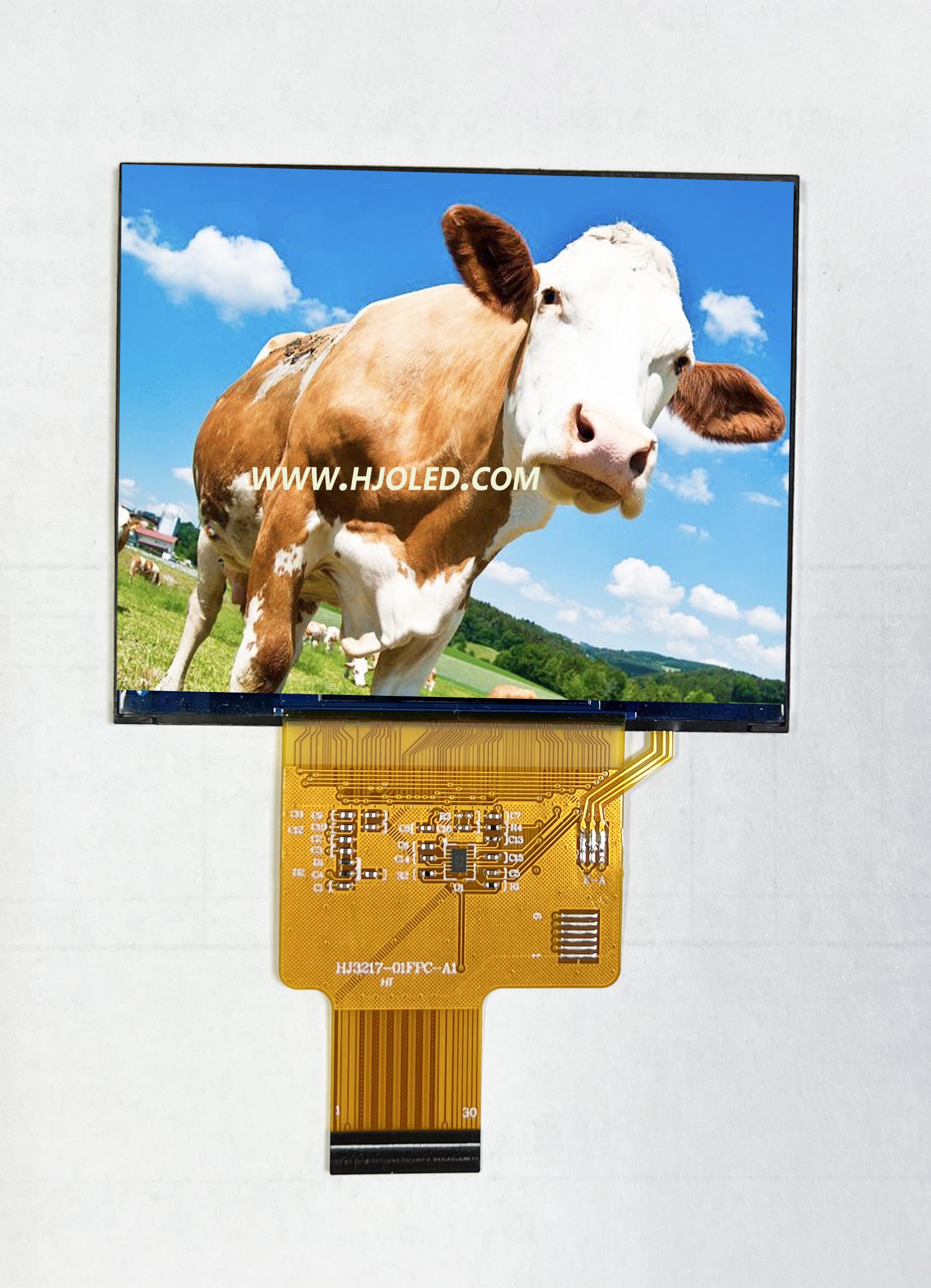 Exibição da tela Horizontal IPS de 3,17 polegadas com resolução 1024*768, suporta várias interfaces